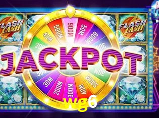 Interface Premium wg6